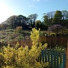 Photo 7: The garden is feels like a retreat.
