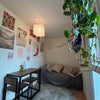 Photo 3: Living room