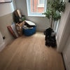 Photo 6: Hallway