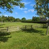 Photo 2: Back aspect to the paddocks