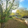 Photo 9: views from balcony