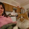 Photo 3: Cat not included