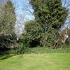 Photo 9: Communal Garden