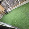 Photo 9: Sunny Rear Garden