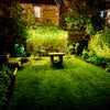 Photo 7: Nighttime garden
