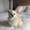 Photograph of Abbie