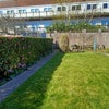 Photo 3: Garden