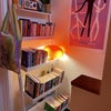 Photo 9: Shared Bookcase in Hallway!