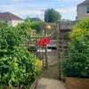 Photo 7: Garden