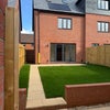 Photo 2: Back garden 