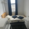 Photo 1: Bedroom