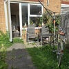 Photo 8: garden