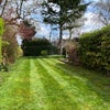 Photo 5: Rear garden 