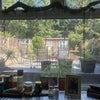 Photo 4: shared back garden 