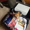 Photo 2: Sadly Peppy wont be coming with me! 