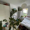 Photo 4: Spare Bedroom 4