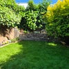 Photo 7: Back Garden