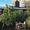 Photo 8: Decked garden 