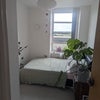 Photo 4: Room but decorated