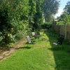 Photo 6: Garden