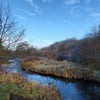 Photo 11: 20 min walk to Seven Acres Country Park