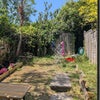 Photo 3: garden