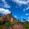 Photo 4: Bright south facing garden