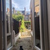 Photo 8: Patio doors