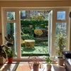 Photo 4: Garden
