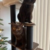 Photo 9: Pumba & Balu
