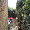 Photo 7: Garden