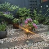 Photo 4: A corner of my old last garden :)