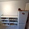 Photo 8: Kitchen shelves