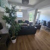 Photo 8: Sofa area