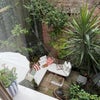 Photo 3: Back Garden