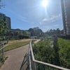 Photo 11: Communal garden