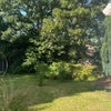 Photo 3: Garden 