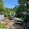 Photo 9: Garden