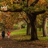 Photo 11: Plumstead Common