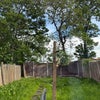 Photo 7: Sunny garden 