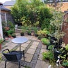Photo 7: The garden