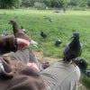 Photo 3: I adore animals and wildlife