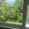 Photo 8: Bedroom view