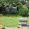 Photo 6: Garden