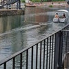 Photo 6: On the water