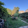 Photo 7: Garden
