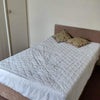 Photo 2: Double room Beatrice Road