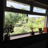 Photo 2: View from your room onto the back garden.