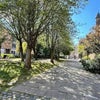 Photo 6: Mark Street Gardens, the leafy public park around the corner (photo via Google reviews)