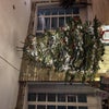 Photo 7: Annual Christmas Tree